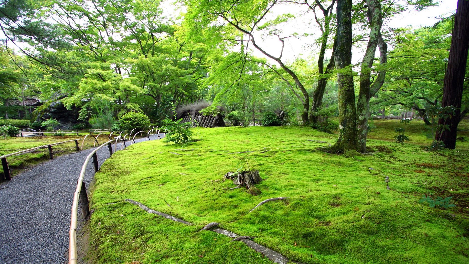 Mogana 宝厳院