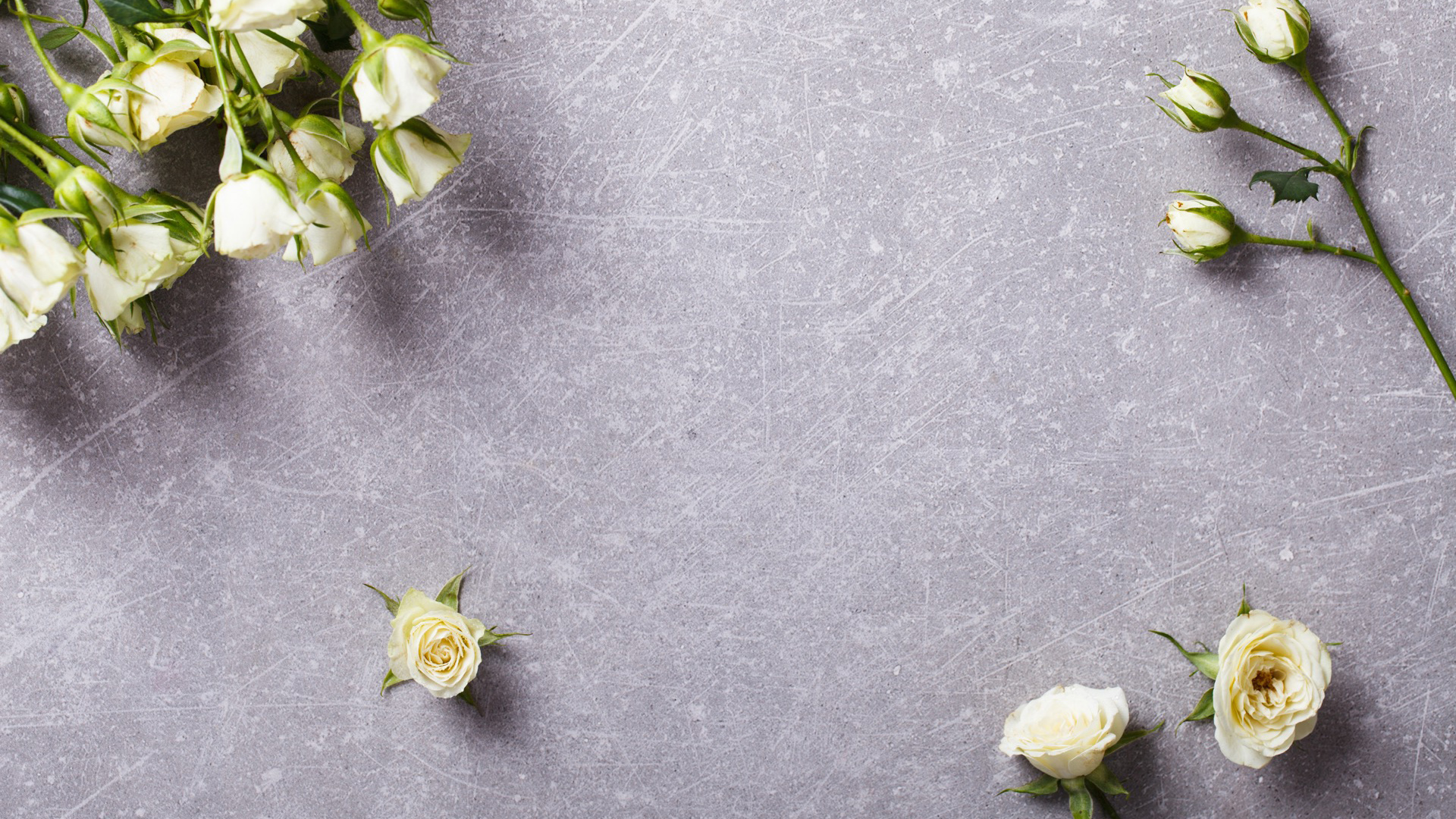 MOGANAで特別な日のサプライズを